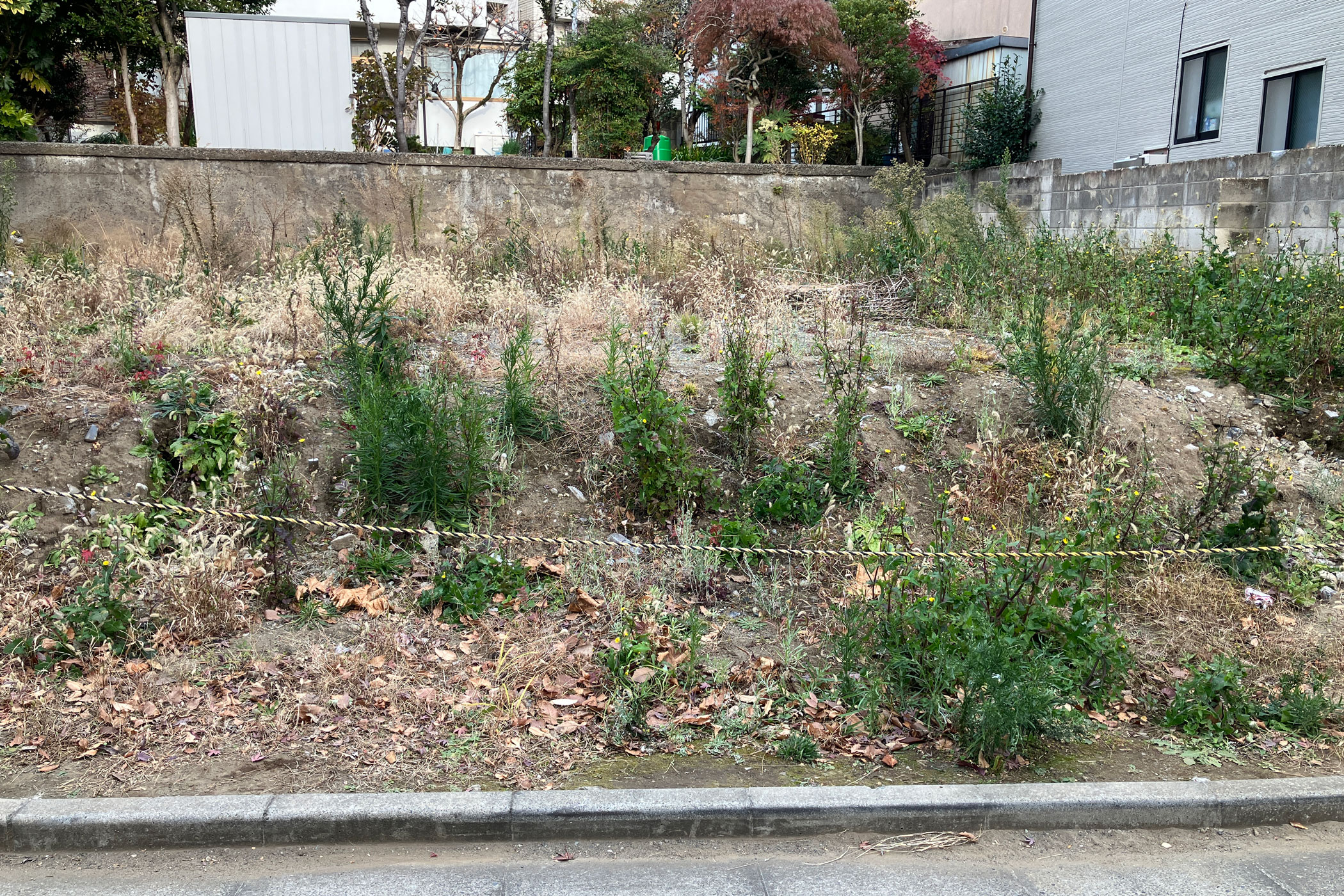相続した不動産